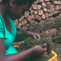 a black woman working on a farm